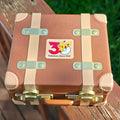 Pokémon Little Adventure 30th Anniversary vintage suitcase box closed
