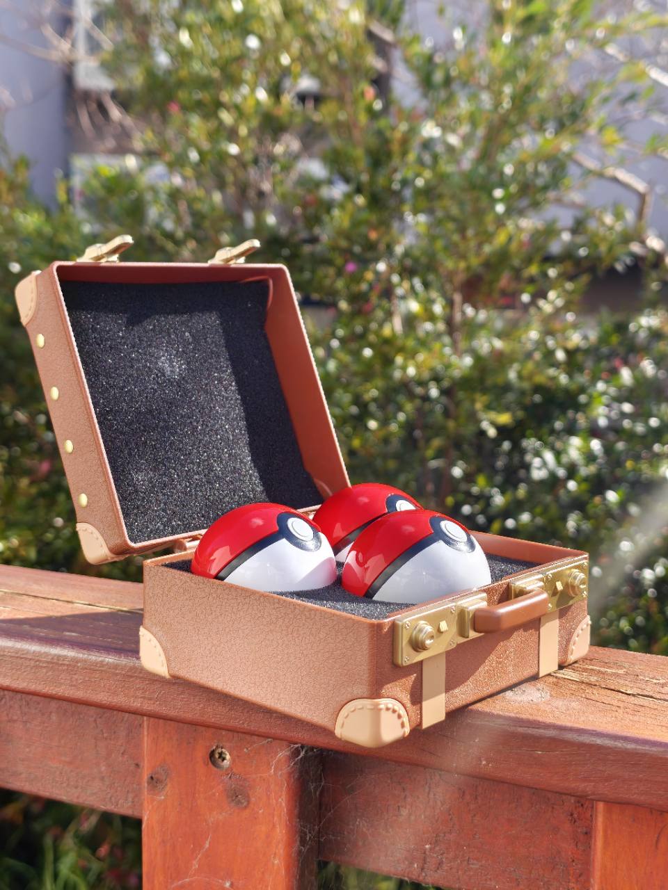 Pokémon 30th Anniversary starter suitcase collectible display