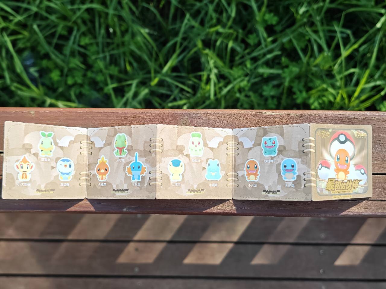 Pokémon First Partner 30th Anniversary complete regional starter lineup
